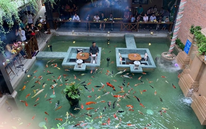 Quán cafe cá Koi với lối đi giữa hồ lạ mắt