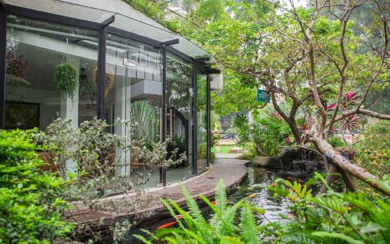 Quán cafe cá Koi phong cách Châu Âu cực ấn tượng