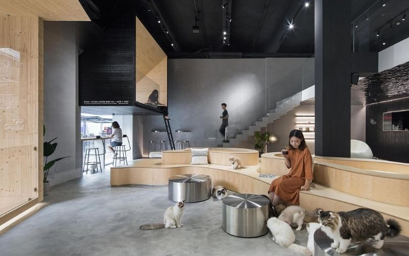 Quán cafe mèo theo phong cách công nghiệp hiện đại