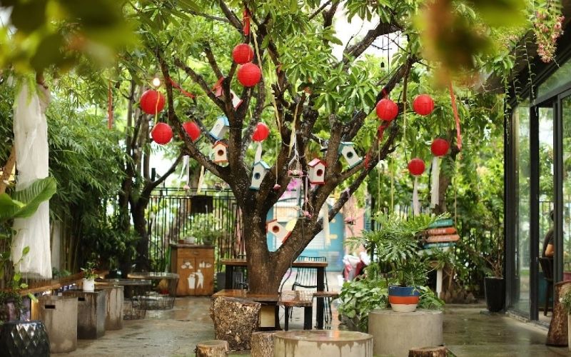 Cafe sân vườn không gian mở trong lành, thư thái