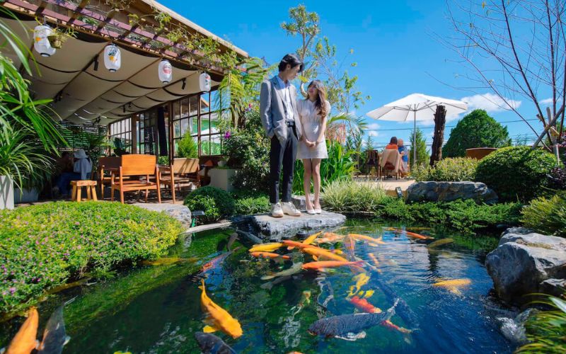 Quán cafe cá koi phong cách Nhật với khung cảnh lãng mạn