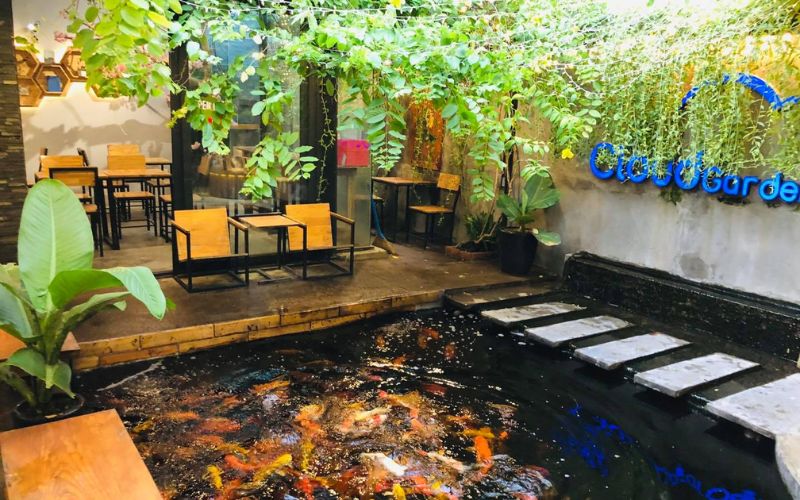 Bí quyết để thiết kế quán cafe cá koi
