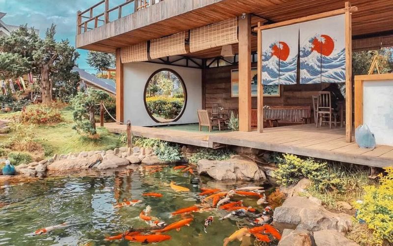 Quán cafe cá koi mang đậm văn hóa Nhật